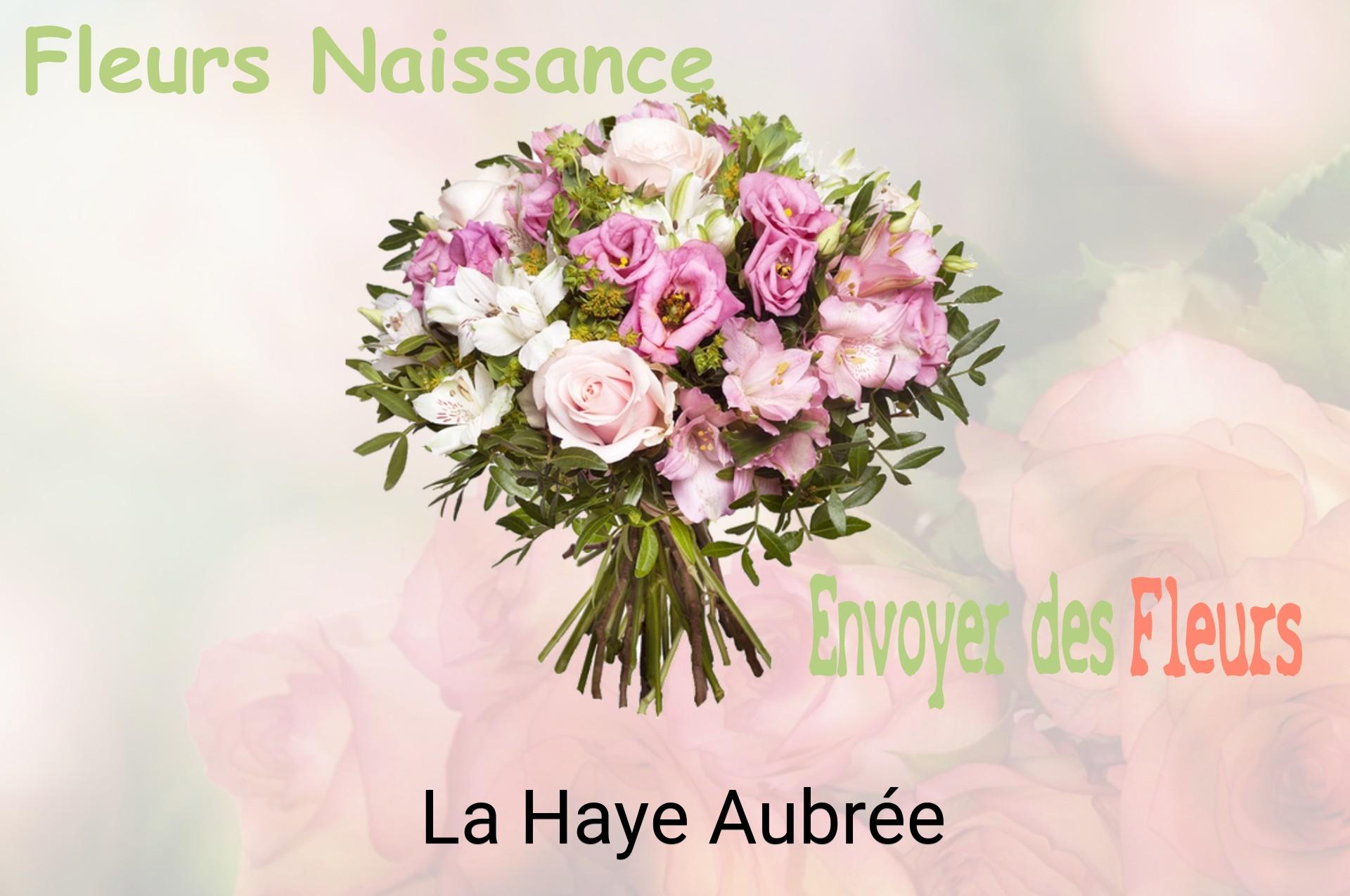 Bouquet de fleurs de naissance livré à La Haye-Aubrée